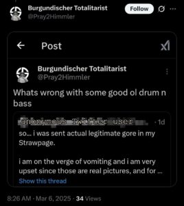 A Twitter post by Colwell, from his Pray2Himmler account, dated March 6th, 2025. In response to a Twitter user recounting being confronted with racialized gore in his straw.page, Colwell asks "what's wrong with some good ol' drum & bass?"