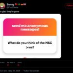 A screenshot of a Twitter post by Colwell, dated May 31st, 2025. An image of a NGL.link question asks "What do you think of the NSC bros?" Colwell replies "I'm glad they're gone."