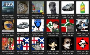 An array of 18 Telegram profile photos, as sourced from Colwell's "Lord Protector Sunny" account, which I will not describe in exhaustive detail. Elements of the various images include two instances of manul cats, two instances of the Sunny character from OMORI, one instance of a blue Soyjak. one instance of a swastika, two instances of the Lovecraftian New England flag, and one instance of Soviet secret police chief Lavrentiy Beria as run through a grunge filter.