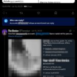 A screenshot of a thread made by a Twitter user, anonymized as "a useful idiot in the wild," dated July 10th, 2023, apparently having failed to realize that the impostor accounts posing as the otherwise uninvolved sex worker are in fact impostors. The posts note that that the bio set for one of the impostor accounts is set to link to Colwell's "roundmeal02" Curiouscat account, features posts from both the sex worker's and Colwell's various accounts (Colwell's of which include several instances of the n-slur), and conflates them as a single person in an apparent attempt to incriminate the sex worker.