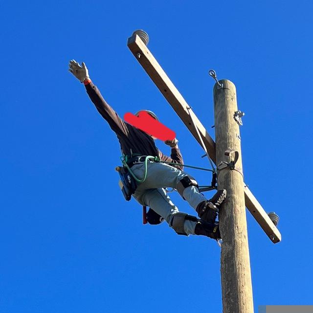 A photo of who is apparently Brandon Brooks, having climbed a utility pole and throwing a seig heil salute.