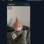 A screenshot of a "Silver Stackers" Telegram chat, the name surrounded by a pair of lightning bolt emojis, dated September 2nd, 2024. Joseph Behling, posts a message reading "Even your cat will steal your silver," with a video attached. The present video still is of an orange tabby, face censored, mouthing at a small plastic baggie that contains a collectible silver coin. The cat sits on a gray blanket. The background is an off-white wall.